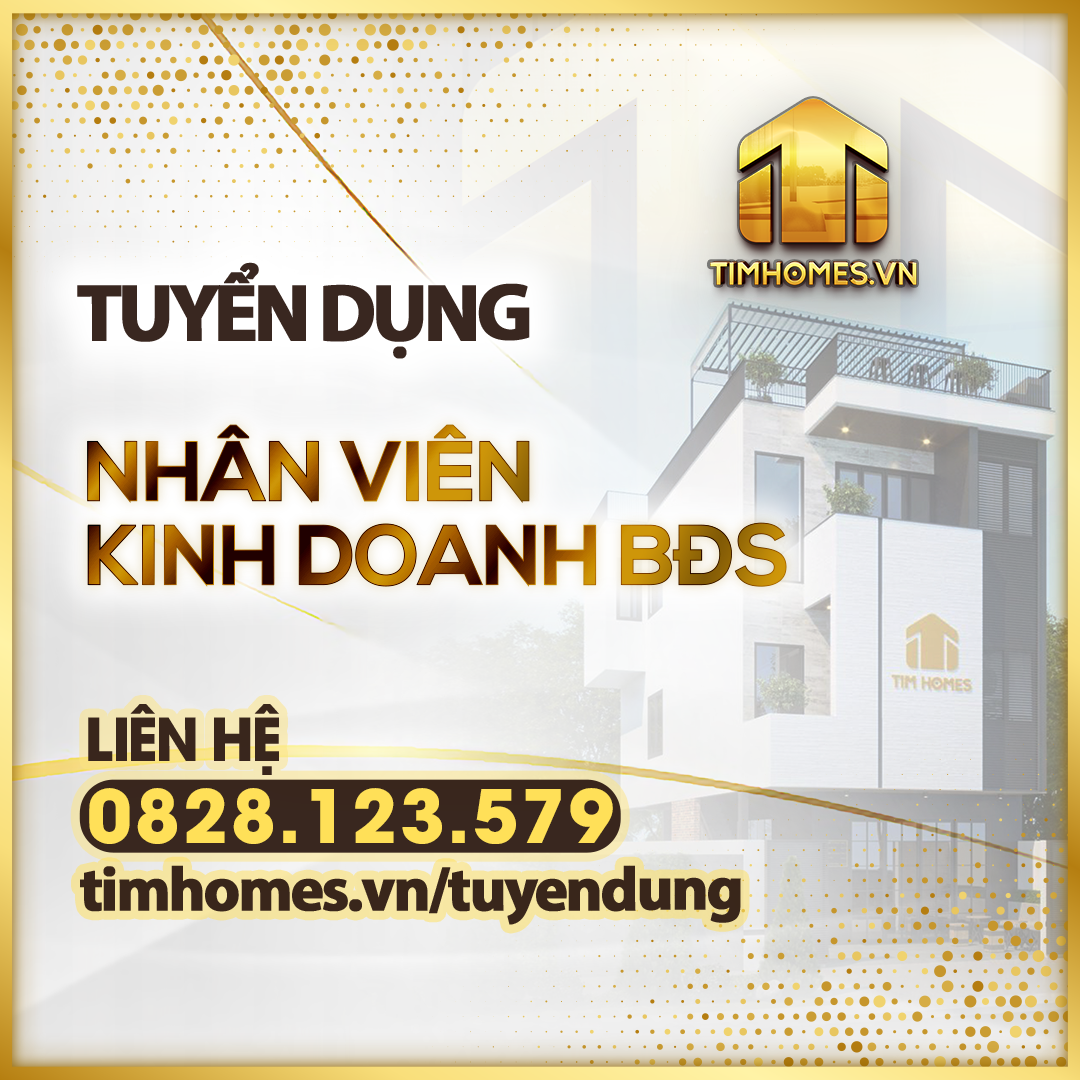 lĩnh vực hoạt động